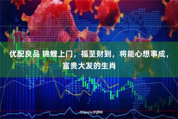 优配良品 锦鲤上门，福至财到，将能心想事成，富贵大发的生肖