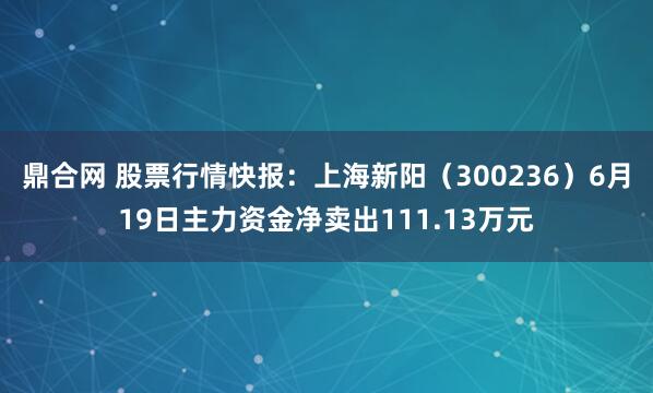 鼎合网 股票行情快报：上海新阳（300236）6月19日主力资金净卖出111.13万元