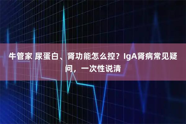 牛管家 尿蛋白、肾功能怎么控？IgA肾病常见疑问，一次性说清