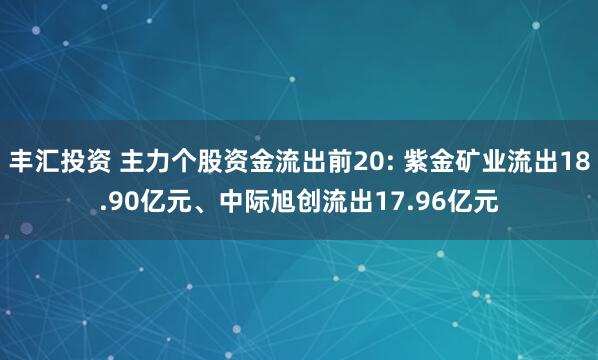 丰汇投资 主力个股资金流出前20: 紫金矿业流出18.90亿元、中际旭创流出17.96亿元